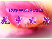 越剧电视艺术片【花中君子】全剧 越剧电视艺术片【花中君子】全剧