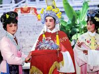 越剧【康王告状】完整版 宁波市越剧团 越剧【康王告状】完整版 宁波市越剧团