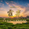 越剧新编现代戏【霞光】全剧 越剧新编现代戏【霞光】全剧